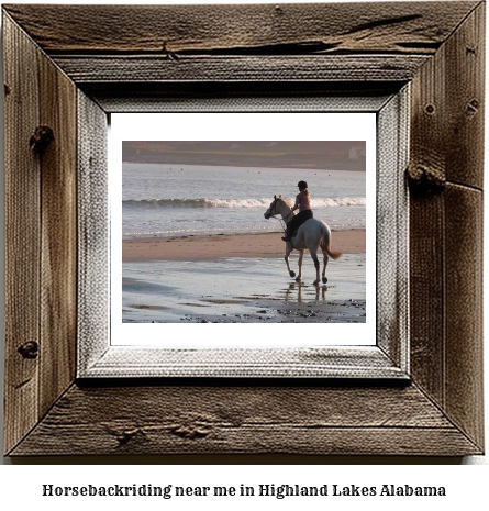 horseback riding near me in Highland Lakes, Alabama